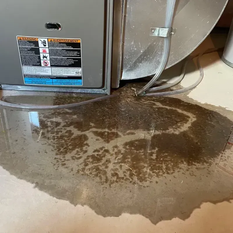 Appliance Leak Cleanup in Brunswick, OH